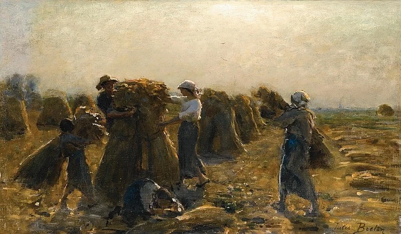 La raccolta